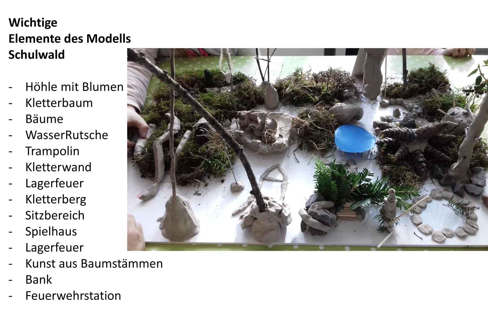 Präsentation des Modells „Schulwald